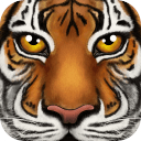 森林动物模拟器 v1.0.0